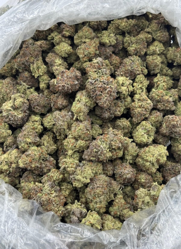 $750 LB Special "Magic Melon"