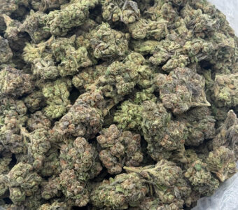 $700 LB Special “The Original Z”