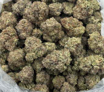 $850 LB Special “Cereal Milk”