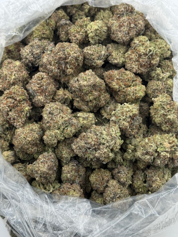 $850 LB Special "Cereal Milk"