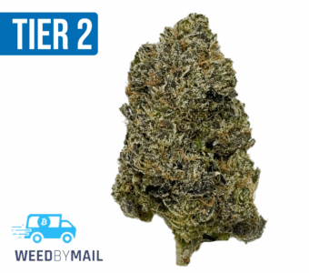 Tier 2 Lemon Cherry Gelato (32.88% THC)(Hybrid)