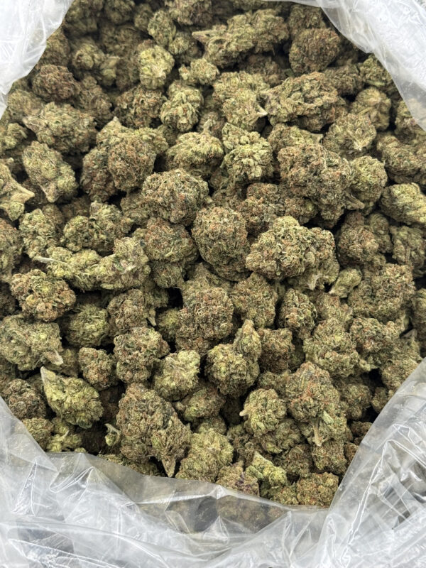 $700 LB Special "Hardcore OG"