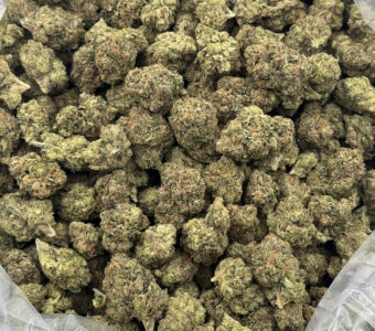 $700 LB Special “Hardcore OG”