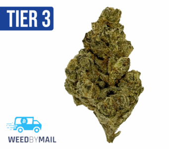 Tier 3 Lambs Bread (28.93% THC)(Sativa)