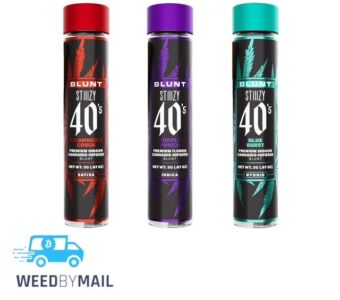 STIIIZY – 2G 40’s Blunt (4 Options)