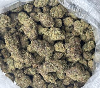 $500 LB Special “Cali Kush”