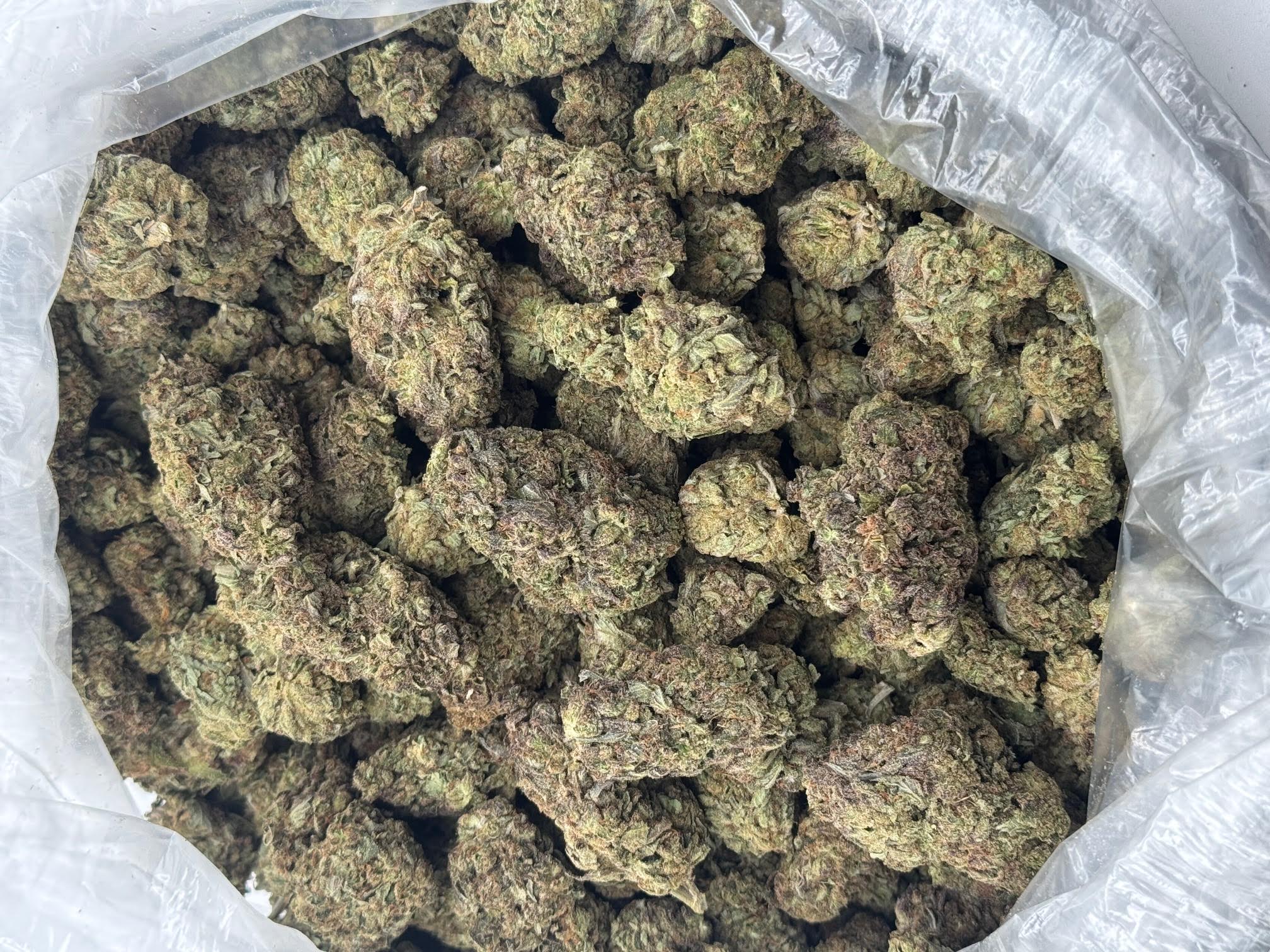 $500 LB Special "Cali Kush"