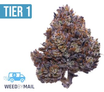 Tier 1 Candyland (36.93%THC)(Sativa)