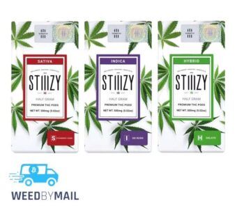STIIIZY – .5G Distillate Vape Pod (5 Options)