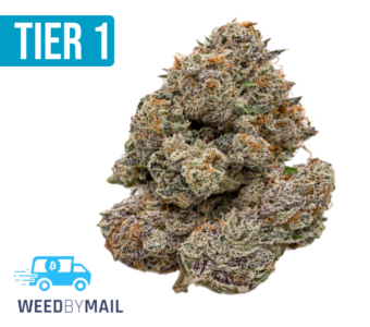 Tier 1 White Truffle (36.88% THC)(Hybrid)