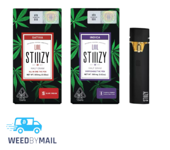 STIIIZY – .5G Distillate Disposable Pen (5 Options)