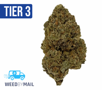 Tier 3 Gush Mintz (28.82% THC)(Hybrid)