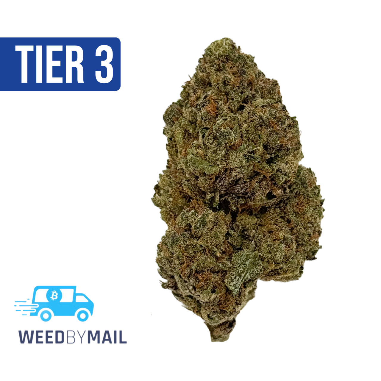 Tier 3 Gush Mintz (28.82% THC)(Hybrid)
