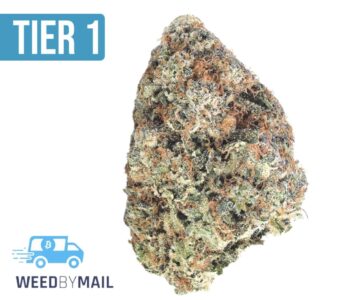 Tier 1 Mango Dream (36.87%THC)(Sativa)