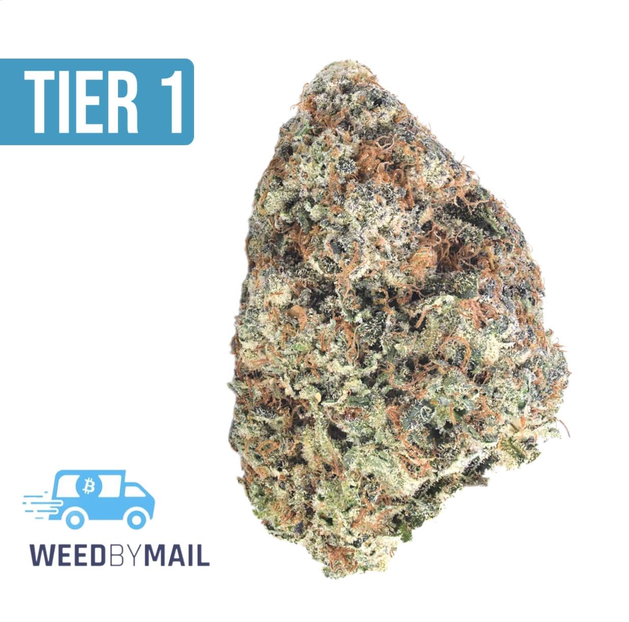 Tier 1 Mango Dream (36.87%THC)(Sativa)