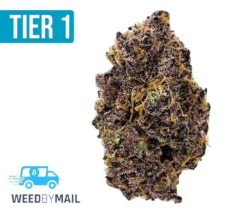 Tier 1 Jealousy (36.92%THC)(Hybrid)