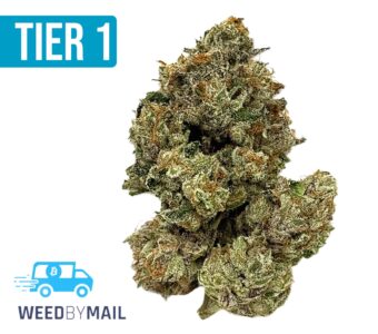 Tier 1 White Truffle (36.88% THC)(Hybrid)