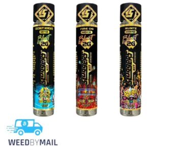 Sluggers – 2G Infused Blunt (5 Options)