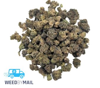 Tier 2 (Small Buds) Ghost Train Haze (31.82% THC)(Sativa)