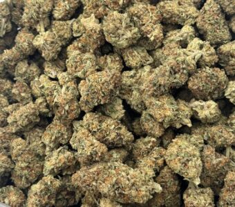 $550 LB Special “Do-Si-Pie”