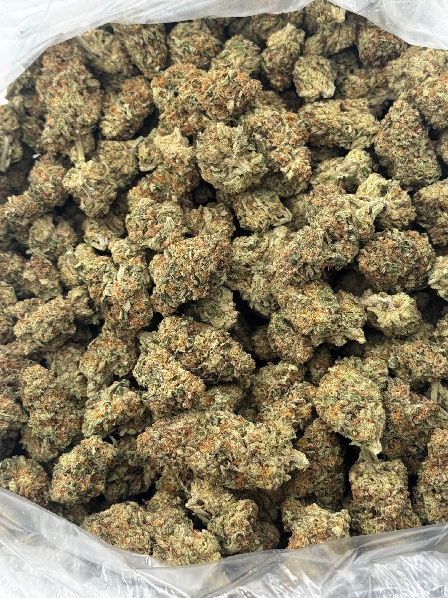 $550 LB Special "Do-Si-Pie"