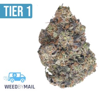 Tier 1 LA Cherries (35.98% THC)(Indica)