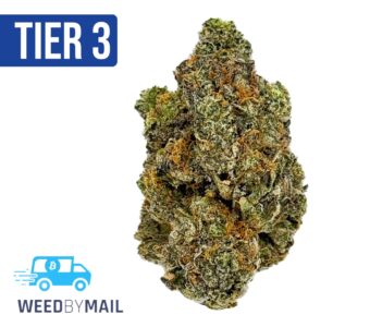 Tier 3 Blueberry Dream (28.96% THC)(Sativa)