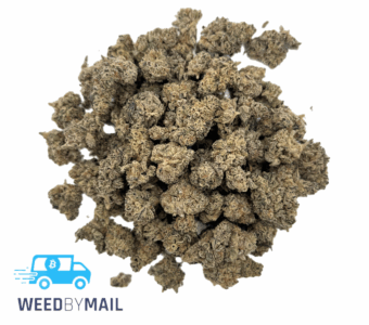 Tier 2 (Small Buds) Colombian Gold (31.95% THC)(Sativa)