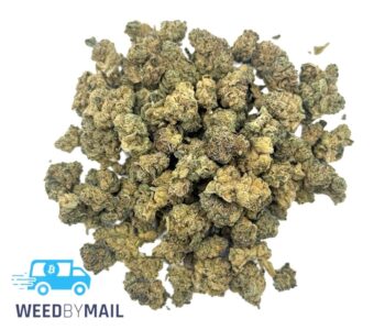 Tier 2 (Small Buds) Presidential OG (31.88% THC)(Indica)