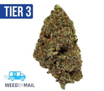 Tier 3 Gorilla Kush (28.87% THC)(Hybrid)