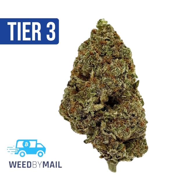 Tier 3 Gorilla Kush (28.87% THC)(Hybrid)