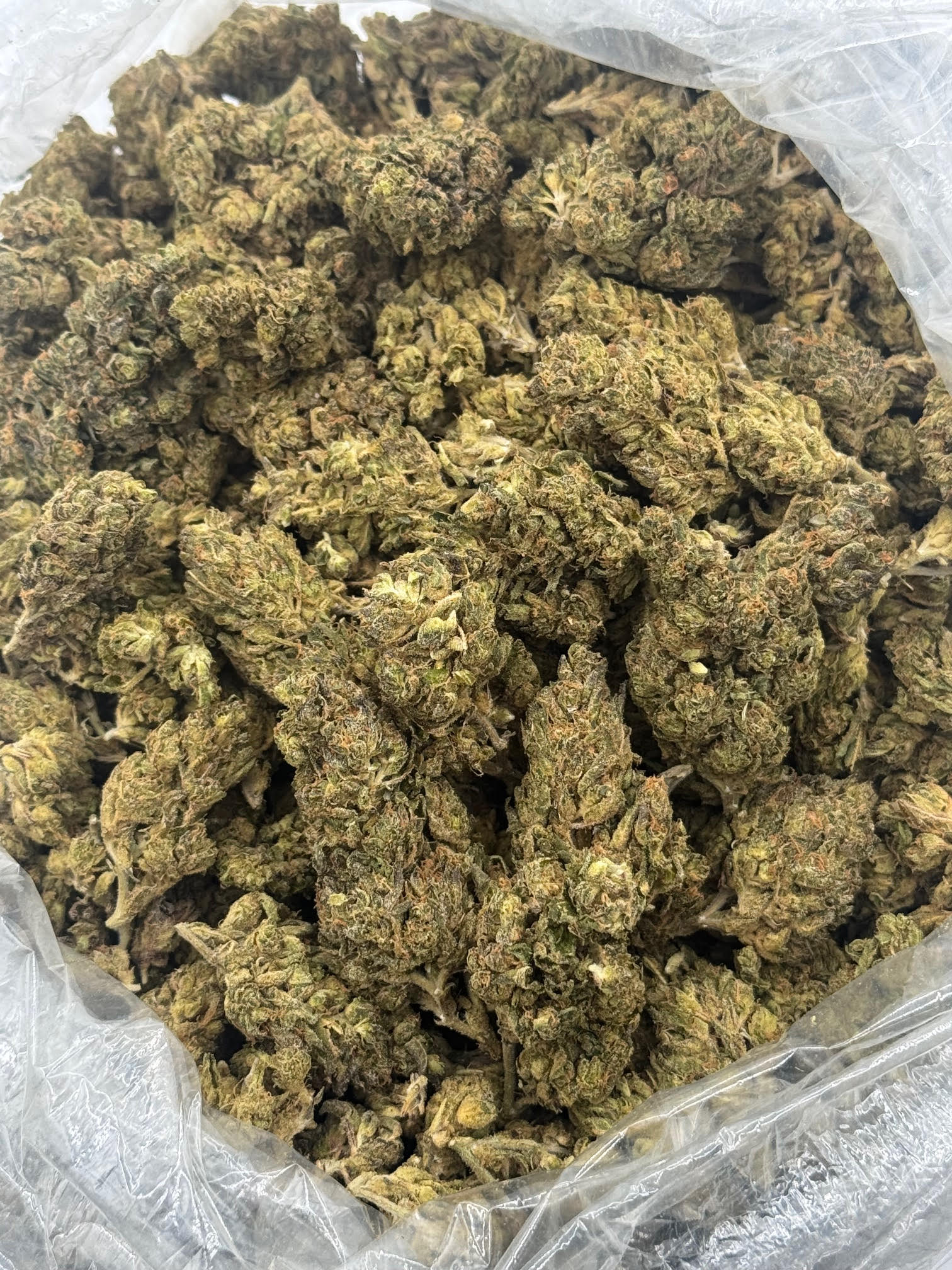 $350 LB Special "Mule Fuel"