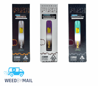 P.U.S.H – 2G Disposable Pen (5 Options)