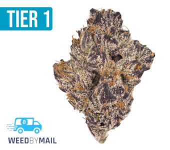 Tier 1 Candy Runtz (35.98% THC)(Indica)