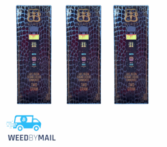 Hitz Infinity – 2G Disposable Pen (9 Options)