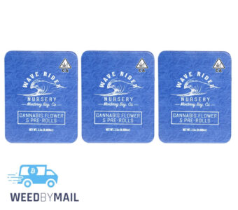 Wave Rider – Pre-Rolls 5Pk (2.5G) (3 Options)