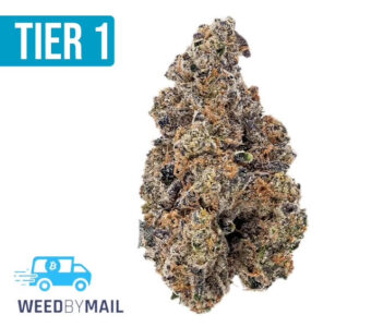Tier 1 Pineapple Express (36.86% THC)(Hybrid)