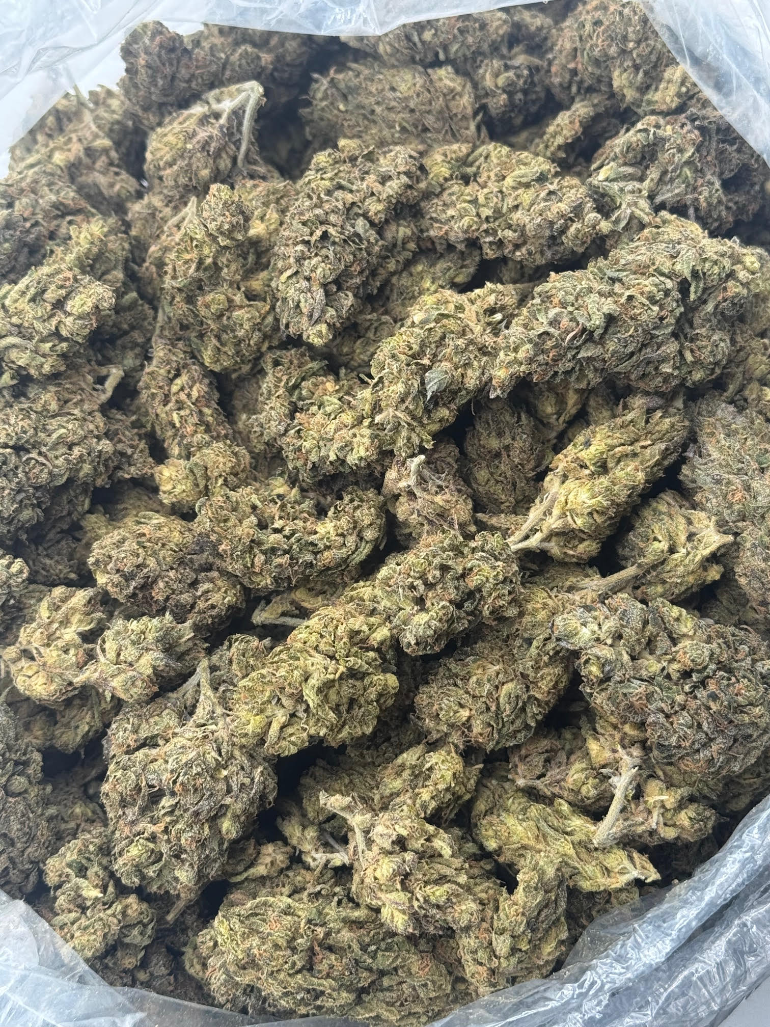$350 LB Special "Sunset OG"