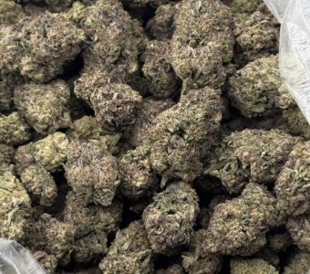 $750 LB Special “Granddaddy Purple” (Indica)