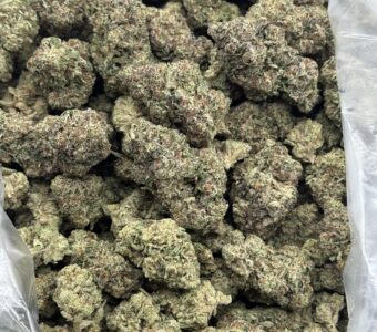$750 LB Special “Green Candy” (Sativa)