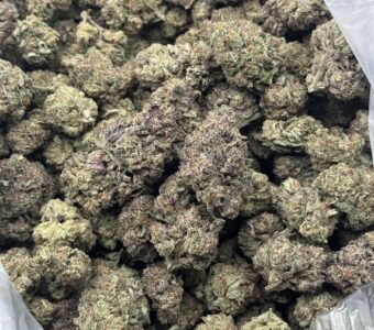 $750 LB Special “Cherry Pie” (Hybrid)