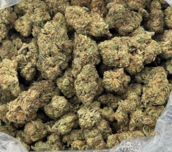 $550 LB Special “3 Kings” (Hybrid)