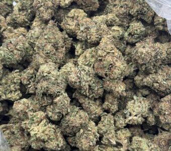 $650 LB Special “Gorilla #10” (Hybrid)