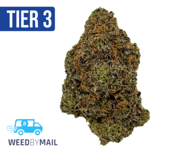 Tier 2 Gas Mask (32.88% THC)(Indica)