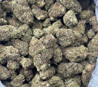 $450 LB Special “Chemdog” (Hybrid)