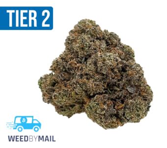 Tier 2 Neptune Kush (32.94% THC)(Indica)