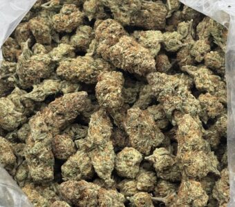 $650 LB Special “Sherblato” (Hybrid)