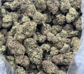 $475 LB Special “Cherry Runtz” (Hybrid)