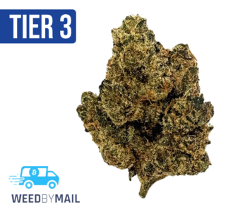 Tier 3 Lambs Bread (28.87% THC)(Sativa)