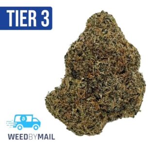 Tier 3 Pink Sunset (28.72% THC) (Indica)